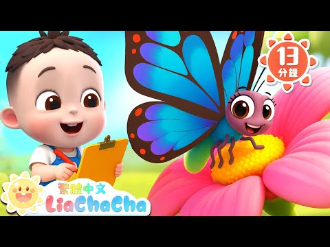 春天在哪裡 | 經典中文兒歌 | 啟蒙教育 | 國語童謠 | 人氣兒歌 | LiaChaCha 依娜和恰恰 - 繁體中文 - 兒歌童謠