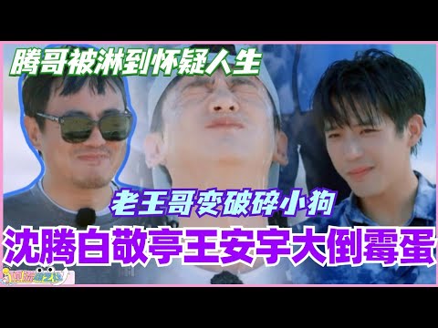 沈腾白敬亭王安宇三大倒霉蛋！老王哥变破碎小狗 腾哥被淋到怀疑人生！#现在就出发 #现在就出发s2 #沈腾 #宋亚轩 #综艺 #搞笑 #王安宇 #林一 #白敬亭 #林更新