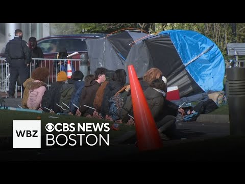 More than 100 pro-Palestinian protesters removed from Northeastern University