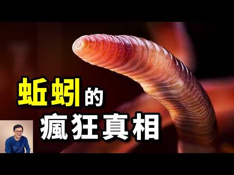 Darwin discovered the crazy truth about earthworms after 40 years of research! #animal #earthworm