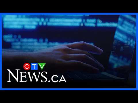 Increase in financial scams lead to consumers feeling ‘burnt out’