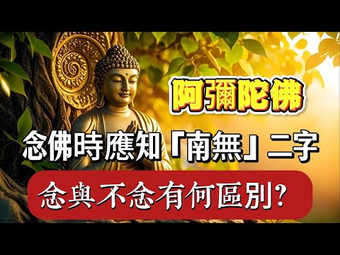 念佛時應知「南無」二字念與不念有何區別？佛陀揭示根本差異！ 佛教  佛學知識 修心修行 禪悟人生  南無阿彌陀佛 養生