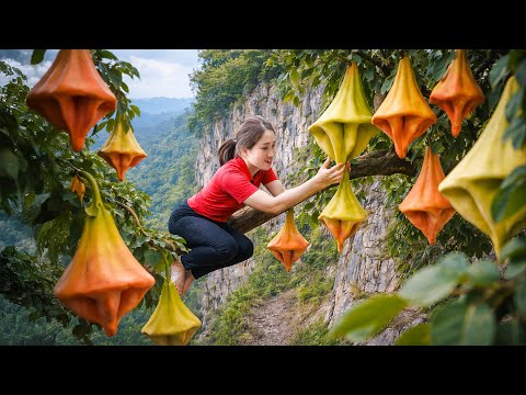 Harvesting Rare Exotic Buddha's Hand Fruit, Peeling Make Spicy Jam With Rock Sugar | Unique Dish