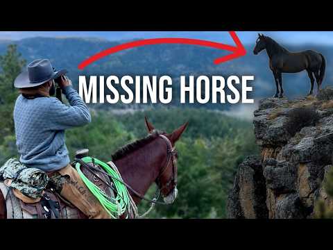 We Lost Our Horse In The Mountains...