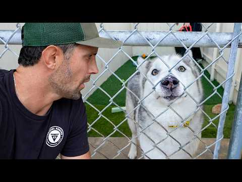 I Tried Working at a San Diego Animal Shelter for 24 Hours π