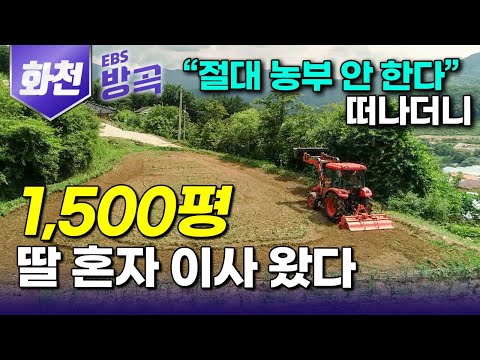 [강원 화천] "도시에 무슨 희망이 있냐" 아버지 한 마디에 흔들려 여자 혼자 1,500평 사들이더니 아버지 집 옆에 집 짓고 농사꾼 된 딸｜청년 농부｜#한국기행 #방방곡곡