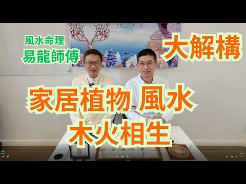 家居植物風水 / 木火相生 /忌尖葉與刺 / 忌假花 / 忌枯萎 /