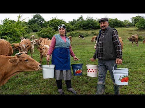 🧀🥛 Cheese Making | Mozzarella Cheese from Fresh Milk 🥛🧀