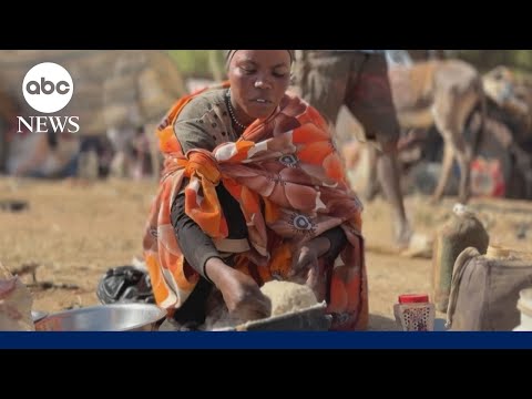 Diplomats call for immediate ceasefire in Sudan