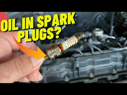 Why Is There Oil In Spark Plug or Spark Plug Well And Possible Fixes