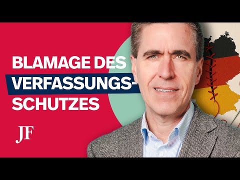 Das AfD-Gutachten ist ein Komplettversagen | Steins Streiflicht
