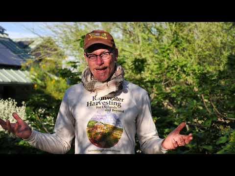 Desert Ecovillage Built for the Rain