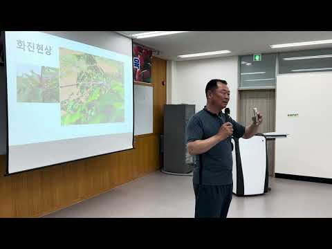 버건디펄 낙과 원인을 말하다