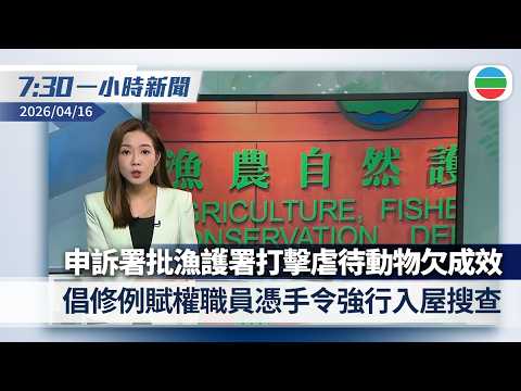 無綫7:30一小時新聞：申訴署批漁護署打擊虐待動物欠成效　倡修例賦權職員憑手令強行入屋搜查｜中國駐日大使館指接連遭恐怖威脅　包括收恐嚇信｜香港新聞｜無綫新聞｜TVB News｜2026/04/16