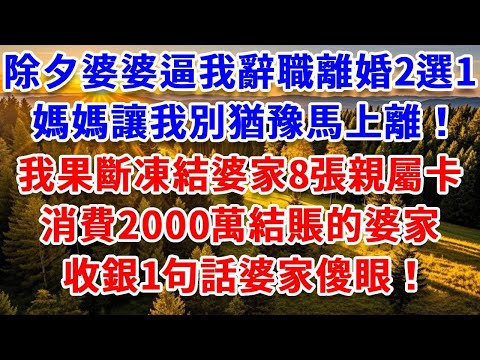 除夕婆婆逼我辭職離婚2選1，媽媽讓我別猶豫馬上離！我果斷凍結婆家8張親屬卡，消費2000萬結賬的婆家，收銀1句話婆家傻眼！#思妤說故事#為人處世#生活經驗#情感故事#晚年哲理#說故事#完結文#原創故事