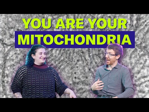 Could mitochondria rewrite the rules of biology? | Science Quickly Video Podcast