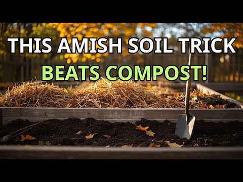 Stop Filling Raised Beds with Compost — The Amish Fall Shortcut That Builds Richer Soil Naturally