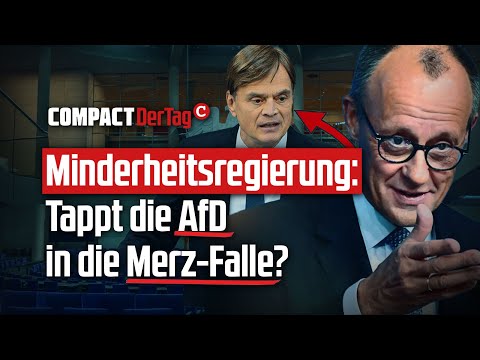 Minderheitsregierung: Tappt die AfD in die Merz-Falle?💥