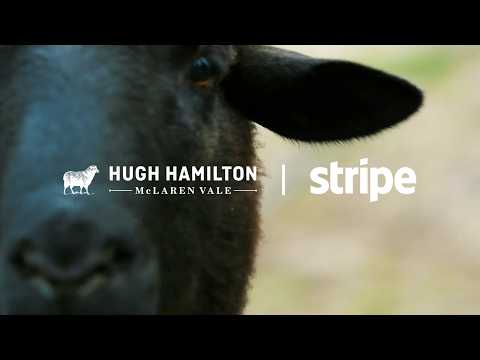 Growing six generations of wine