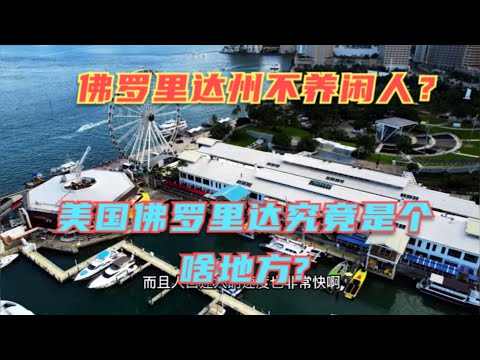 美国佛罗里达州究竟是个啥地方？为啥这里奇葩这么多！为啥连海南封关号称也要借鉴佛罗里达模式？因为佛罗里达不养闲人！