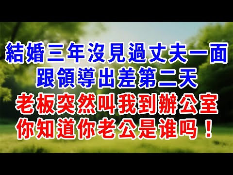 結婚三年沒見過丈夫一面，跟領導出差第二天，老板突然叫我到辦公室，妳老公竟然是他！！#為人處世 #人生感悟 #故事頻道 #故事分享 #知心人生 #情感