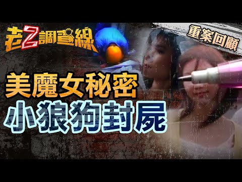 【案032】忤惡! 妳養"小狼狗"? 差16歲姐弟戀 愕然畫下句點的真相... @cti52oz