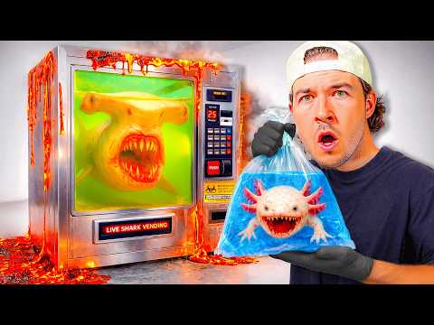 I Bought Dangerous Fish from a Live Fish Vending Machine...