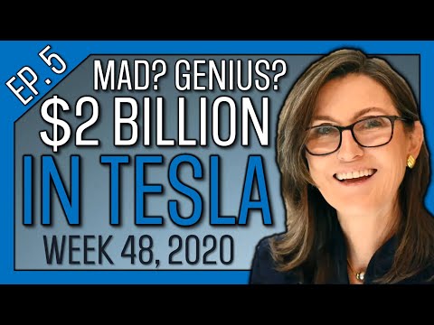 ARK Invest Has $2 BILLION in Tesla Stock, Suggests a $500K Bitcoin, and Loves Nintendo! (Ep 5)