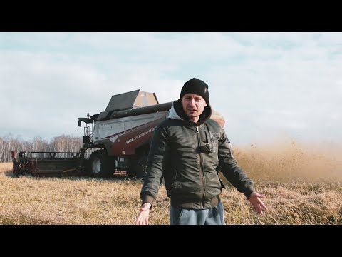 WHAT TO DO WITH WET GRAIN?