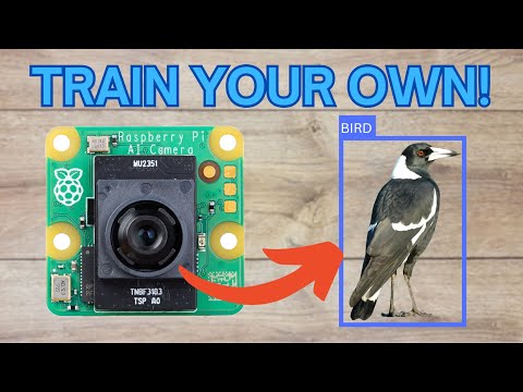 Using Raspberry Pi AI Camera with a Custom Object Detector!