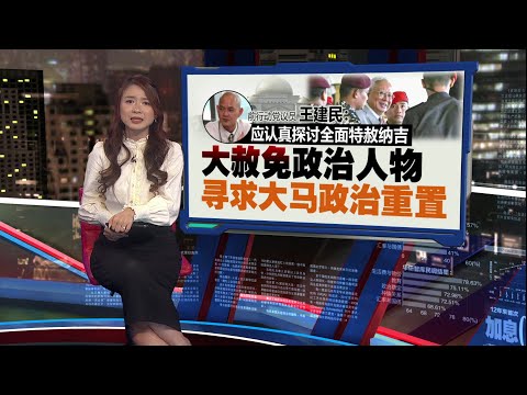 寻求大马政治重置 王建民:大赦免纳吉和所有政治人物 | 新闻报报看 23/12/2025