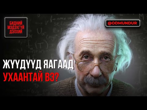 Жүүдүүд яагаад ухаантай вэ? - БИДНИЙ МЭДЭХГҮЙ ДЭЛХИЙ