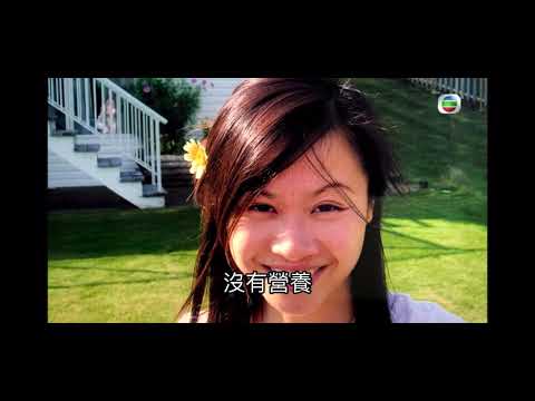 養生有道第三集 － 素食家庭（繁體）