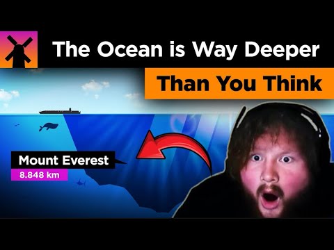 CaseOh Rects To The Ocean Is Way Deeper Than You Think