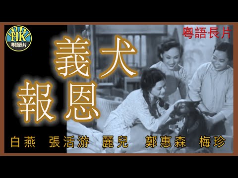 《粵語長片》義犬報恩 (1953)｜白燕｜張活游｜麗兒｜鄭惠森｜梅珍 | 導演：高威廉 | 香港電影 | 香港粵語電影 | 粵語中字