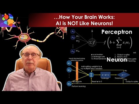 Neurons vs AI: They’re Nothing Alike