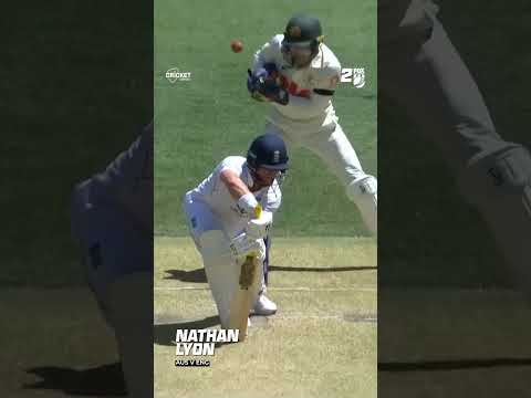 Bad day to be a set of stumps! 🫣