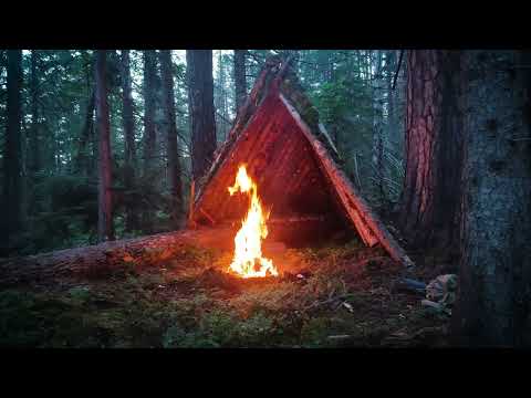 Building Bushcraft Survival Shelter in the Woods, Solo Camping