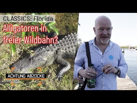 Alligatoren und teure Tours! 🐊 Unnötige Fahrt durch die Everglades! | Achtung Abzocke CLASSICS