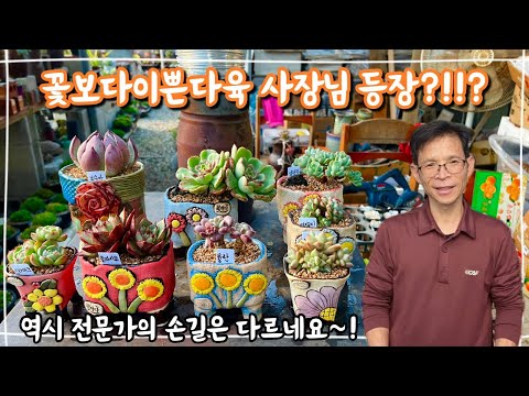 꽃보다이쁜다육 사장님과 함께하는 예쁜 다육식물 분갈이 영상!! 구경오세요~~!!!
