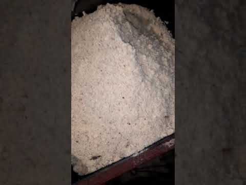 Холмова. Шахтный котел. Уголь и сырые опилки