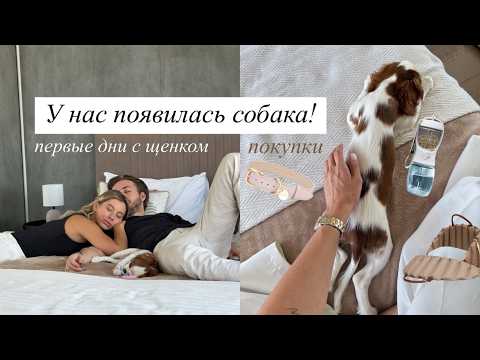 ПЕРВЫЕ ДНИ С ЩЕНКОМ, ПОКУПКИ И СЛОЖНОСТИ (или их нет?)