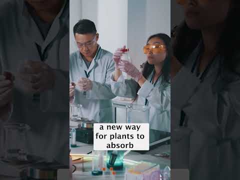 Scientists Rewire Plants: Faster Carbon Capture & Higher Yields