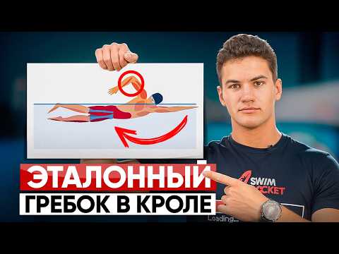 Вот почему твой кроль медленный! 3 фазы идеального гребка