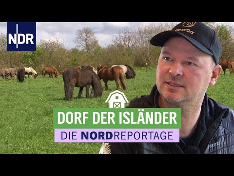Wo der Tölt der Islandpferde den Alltag bestimmen | Die Nordreportage | NDR