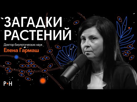 Incredible Plants / "Social" Sunflowers, a Giant Flower and the Common Ancestor of Plants and Ani...