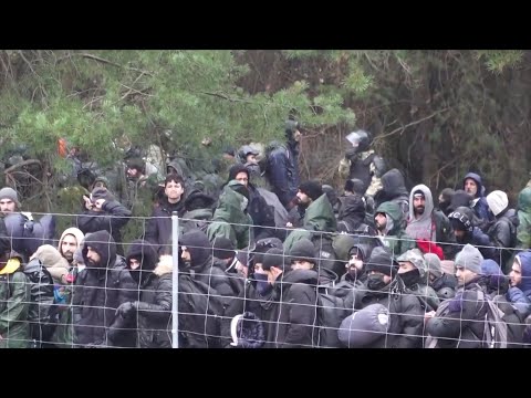 Inside the Migrant camps at the Belarus-Poland Border