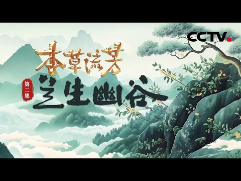 零下20℃冷冻后也能满血复活?采摘两年后依然会发芽开花?揭秘石斛何以绝境中成就珍贵药材《本草流芳》 第2集 兰生幽谷 | CCTV「本草流芳」