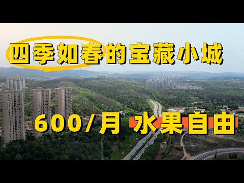 四季如春水果自由小城，$84/月住进森林的宝藏城市~