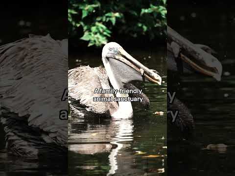 THE Spot for Animal Lovers